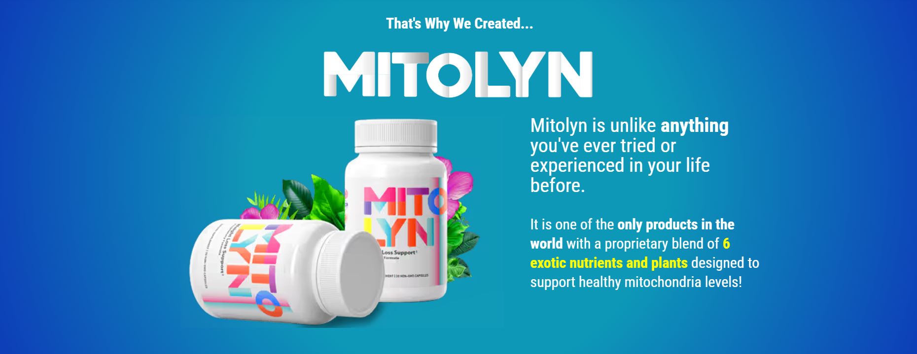 About Mitolyn Creation